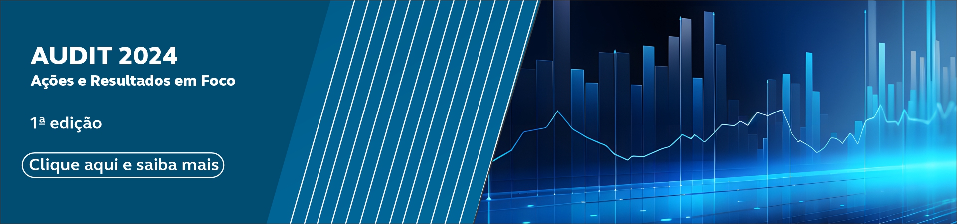 Audit 2024 - Ações e Resultados em FOCO